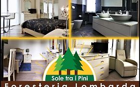 Sole Tra I Pini - Foresteria Lombarda